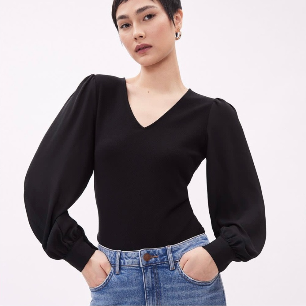 RW&CO. Mixed-Media V-neck top with Long Puffy Sleeves